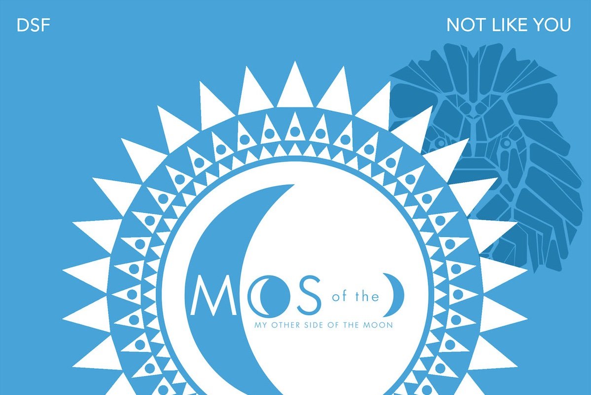 “Not Like You” di DSF per My Other Side of the Moon